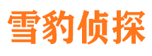 南溪市侦探调查公司